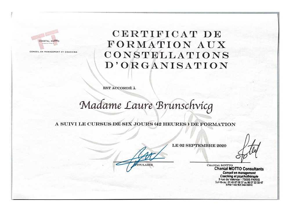 Certificat de reconnaissance pour la méthode Constellation d'organisation Laure Brunschvicg